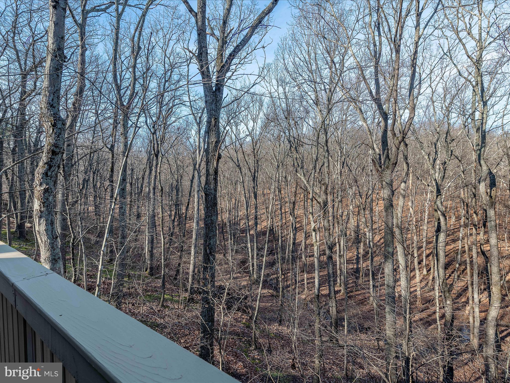 THE WOODS - Residential