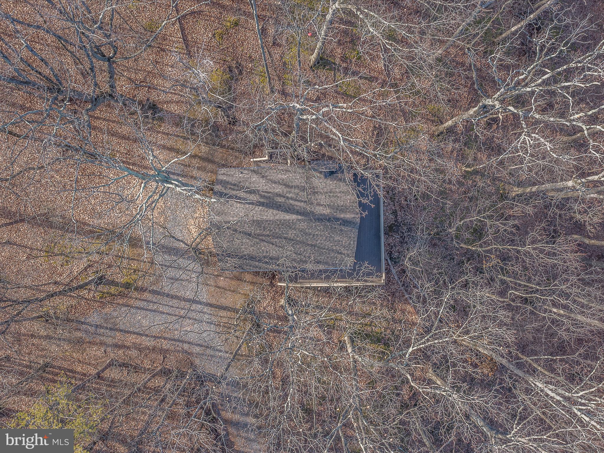 THE WOODS - Residential