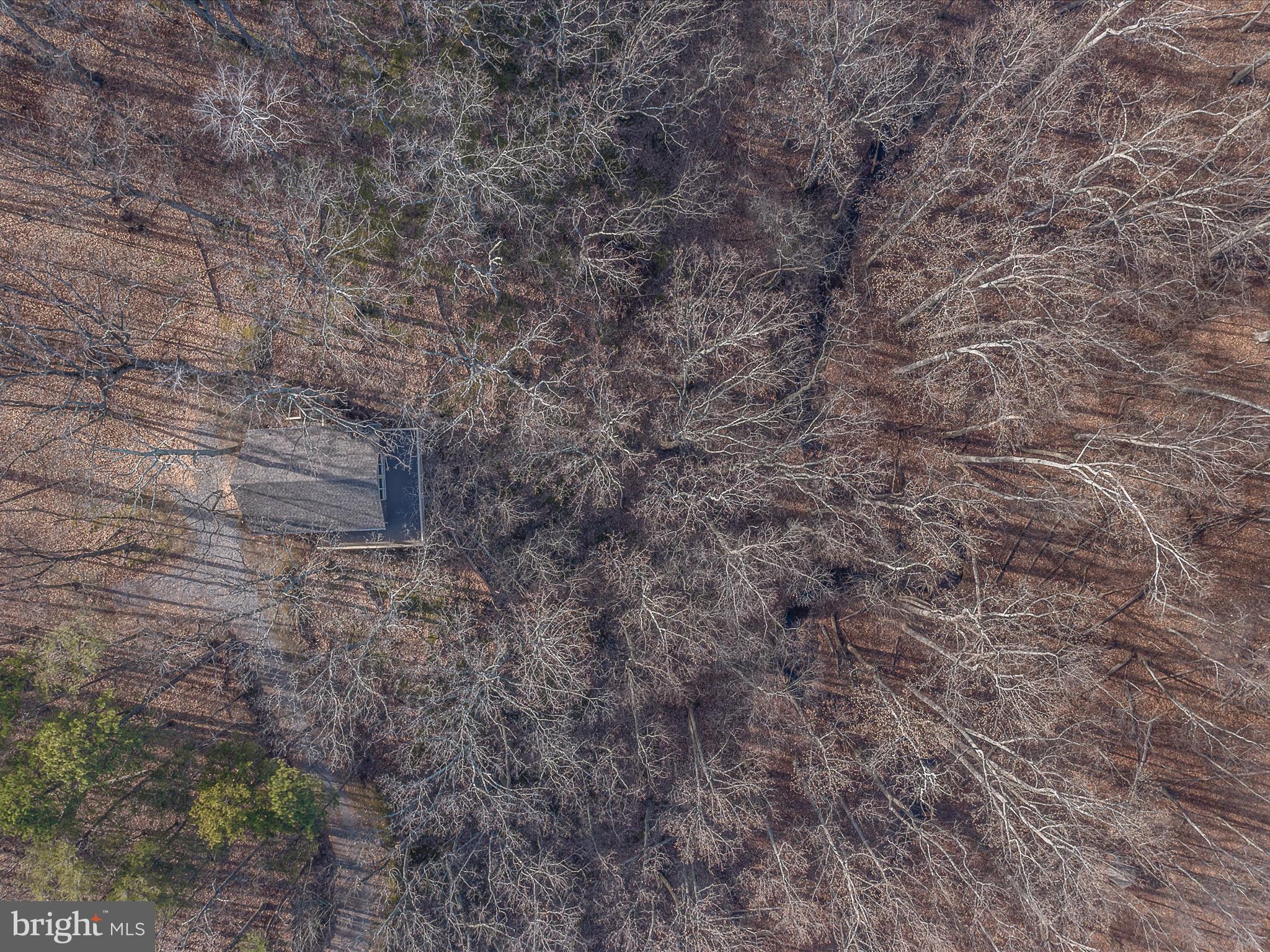 THE WOODS - Residential