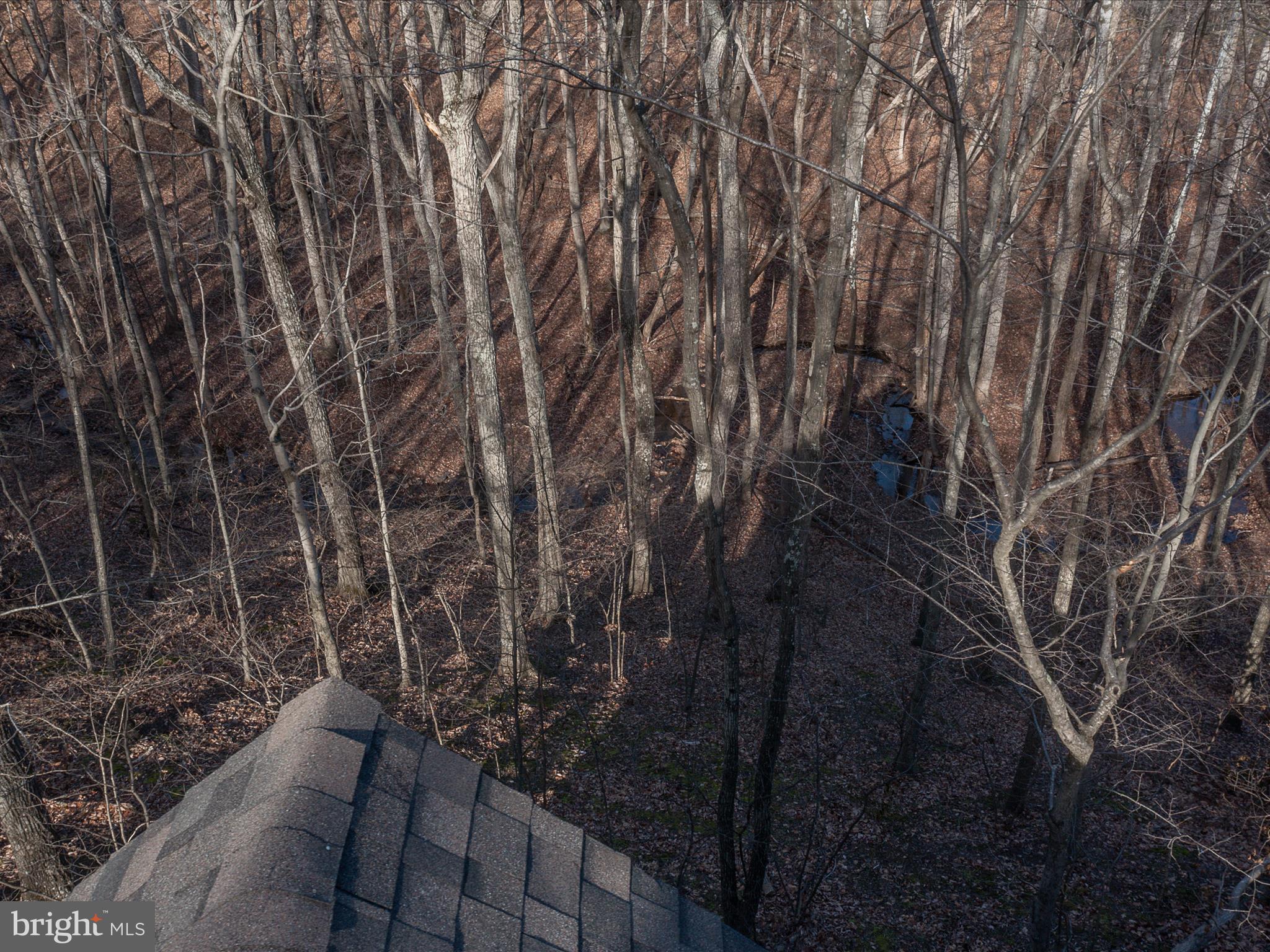 THE WOODS - Residential