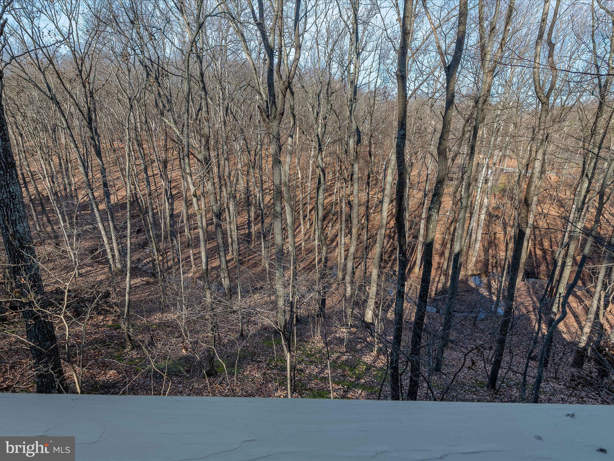 THE WOODS - Residential