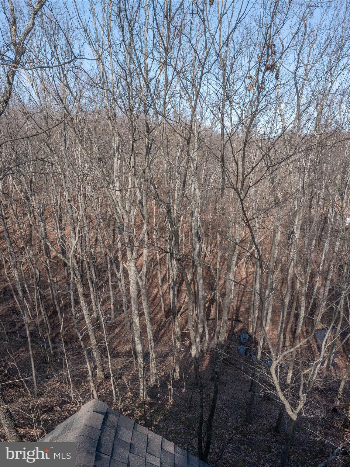 THE WOODS - Residential