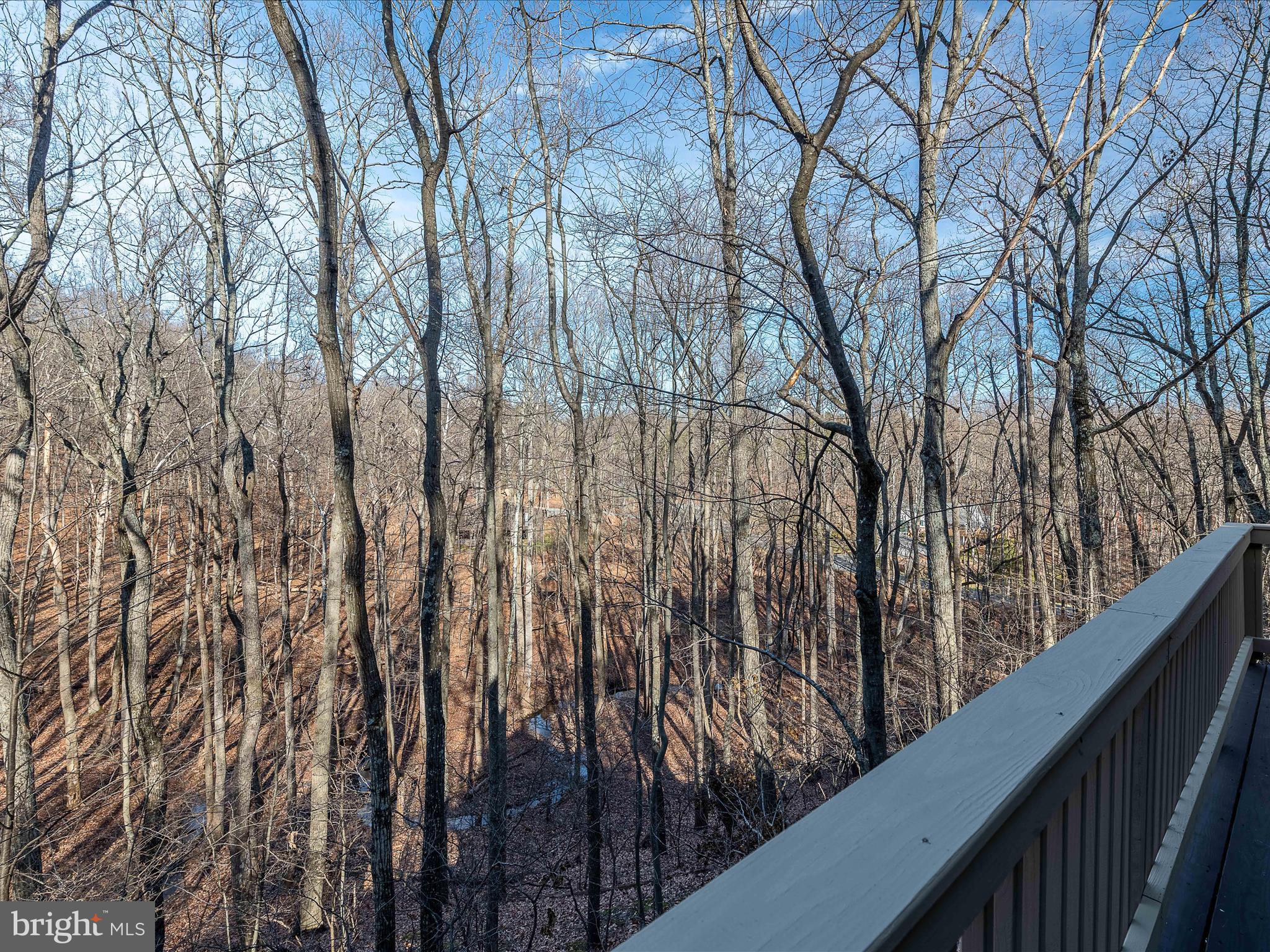 THE WOODS - Residential