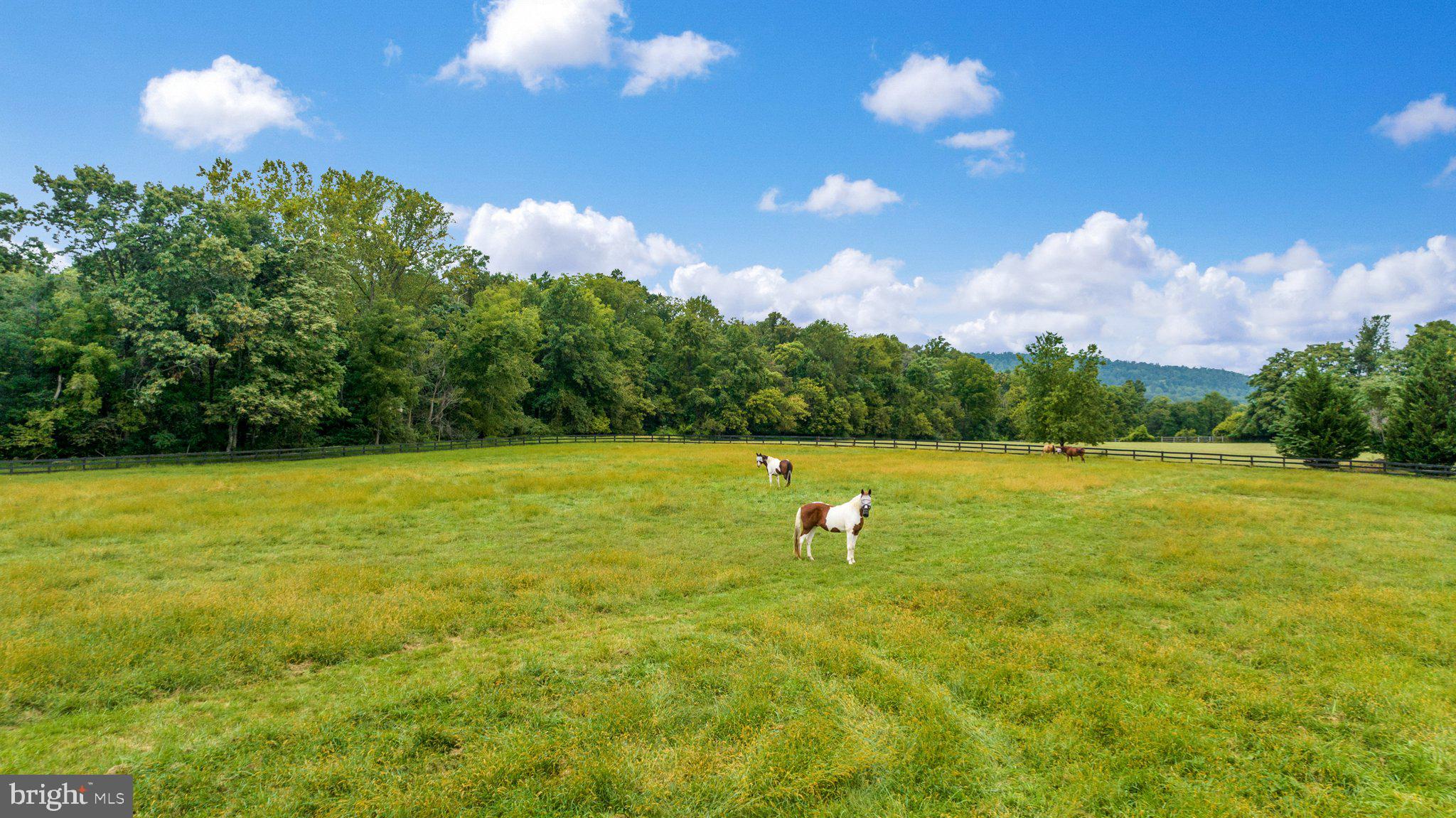 REGIONAL PIEDMNT - Residential