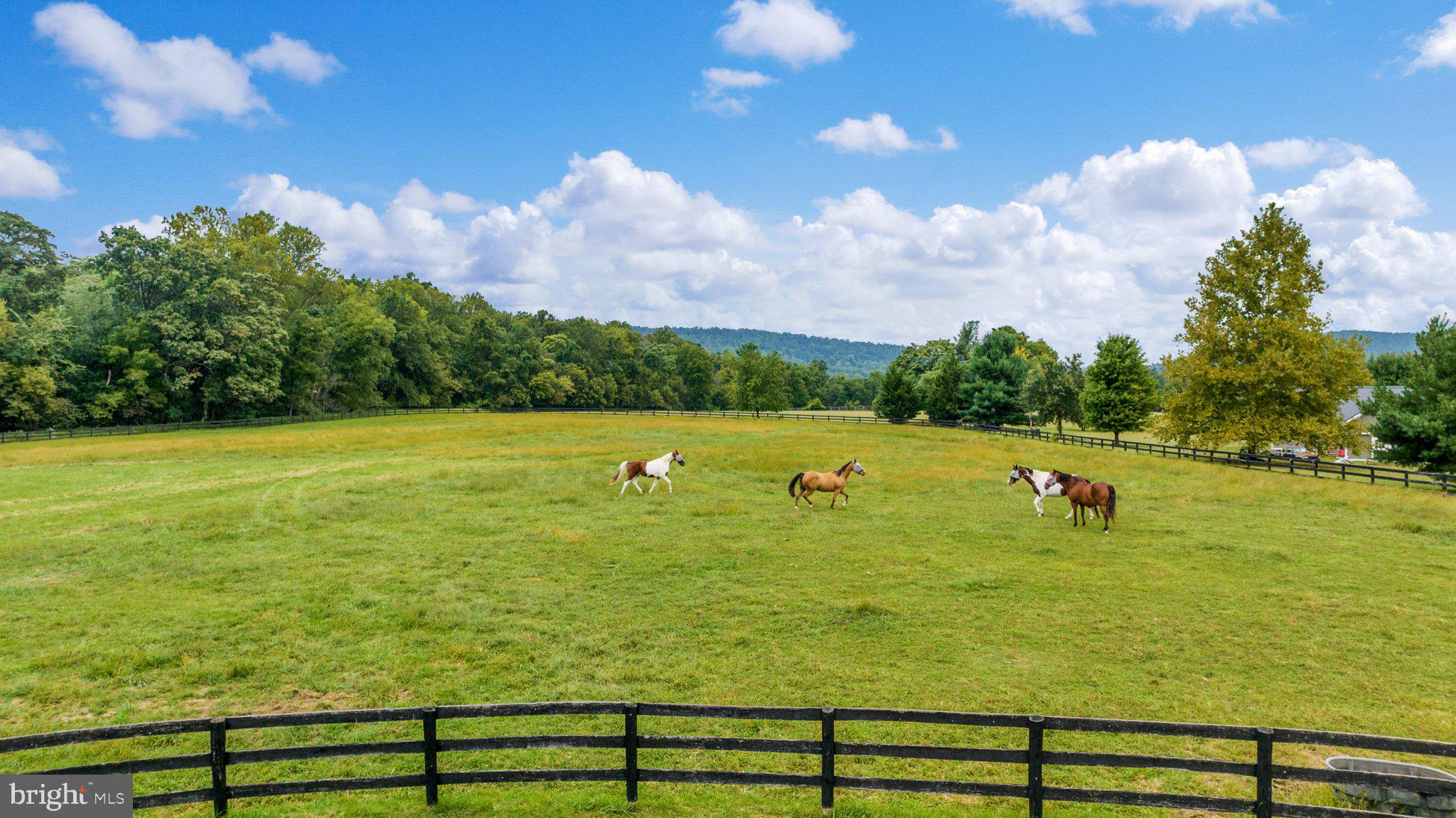 REGIONAL PIEDMNT - Residential