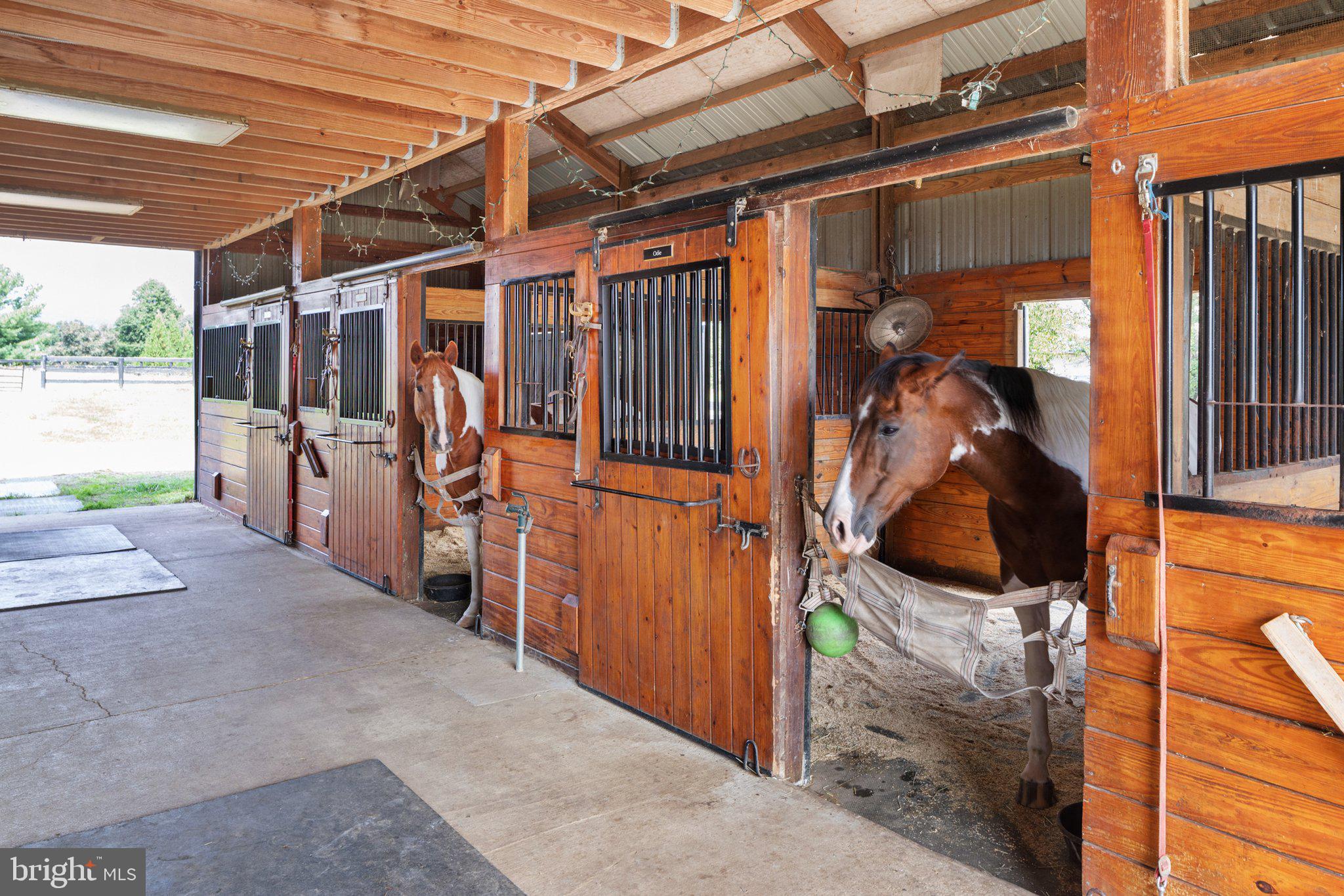 REGIONAL PIEDMNT - Residential