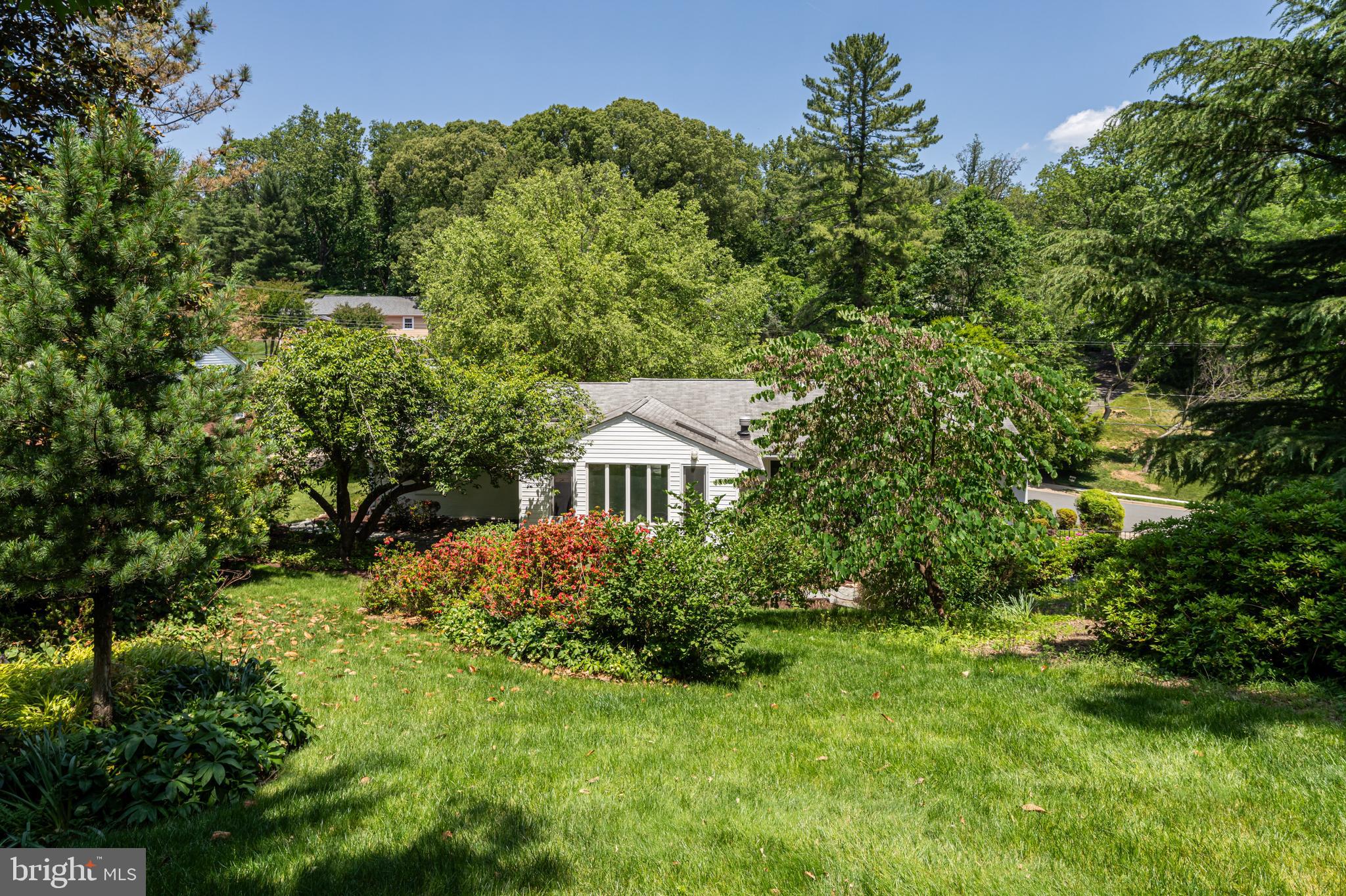 BELLEVUE FOREST - Residential