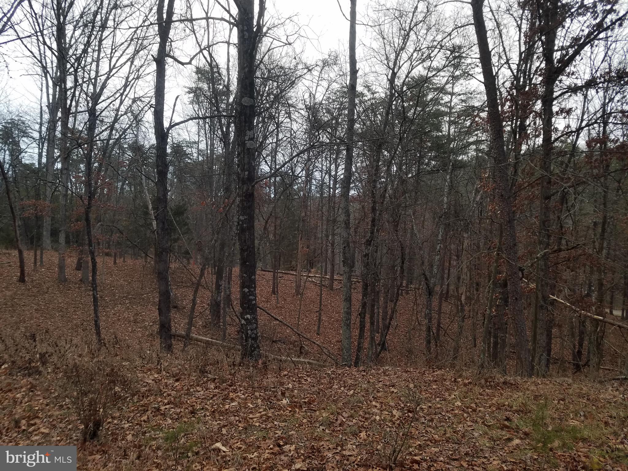 COON HOLLOW - Residential