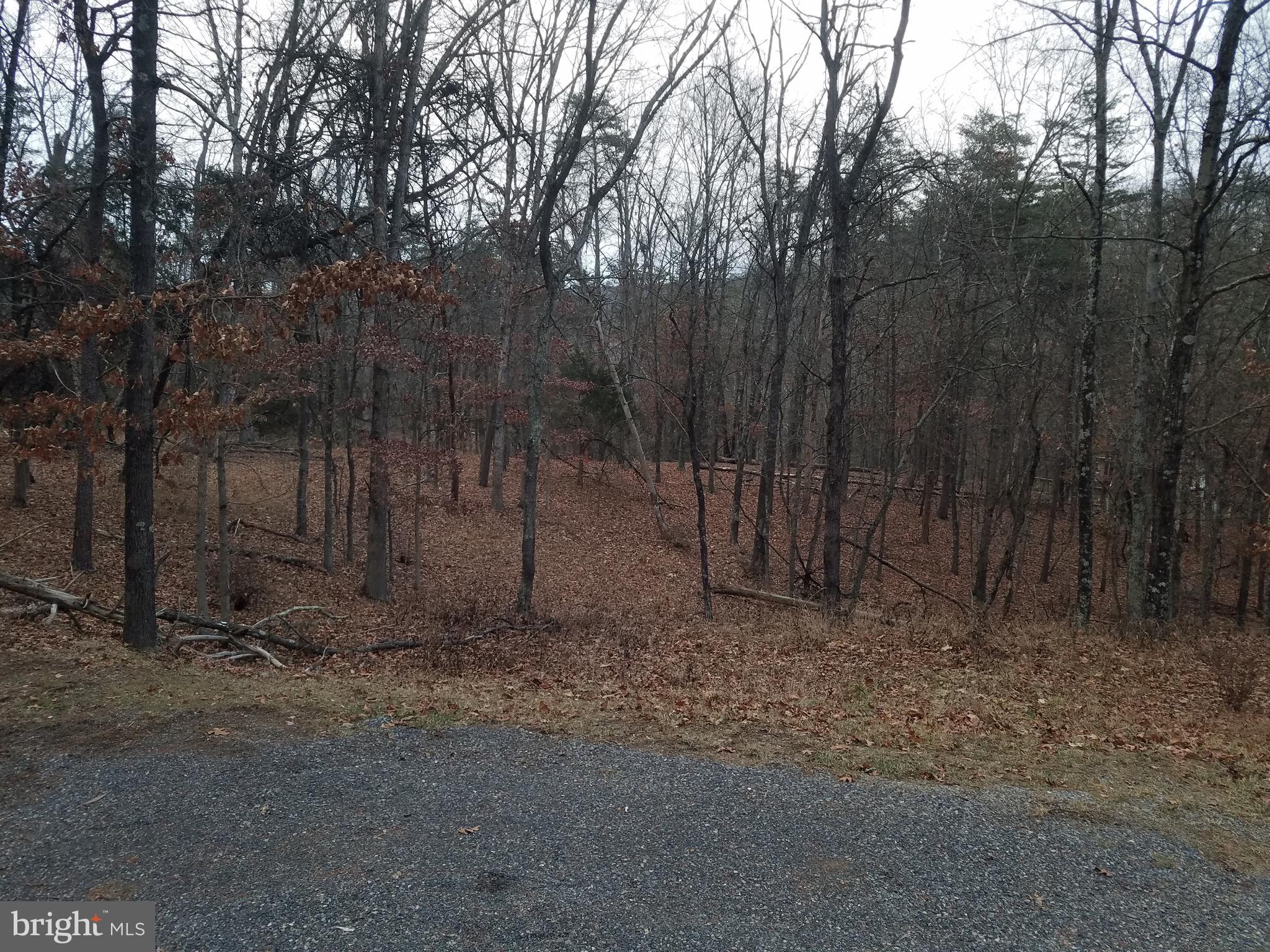 COON HOLLOW - Residential