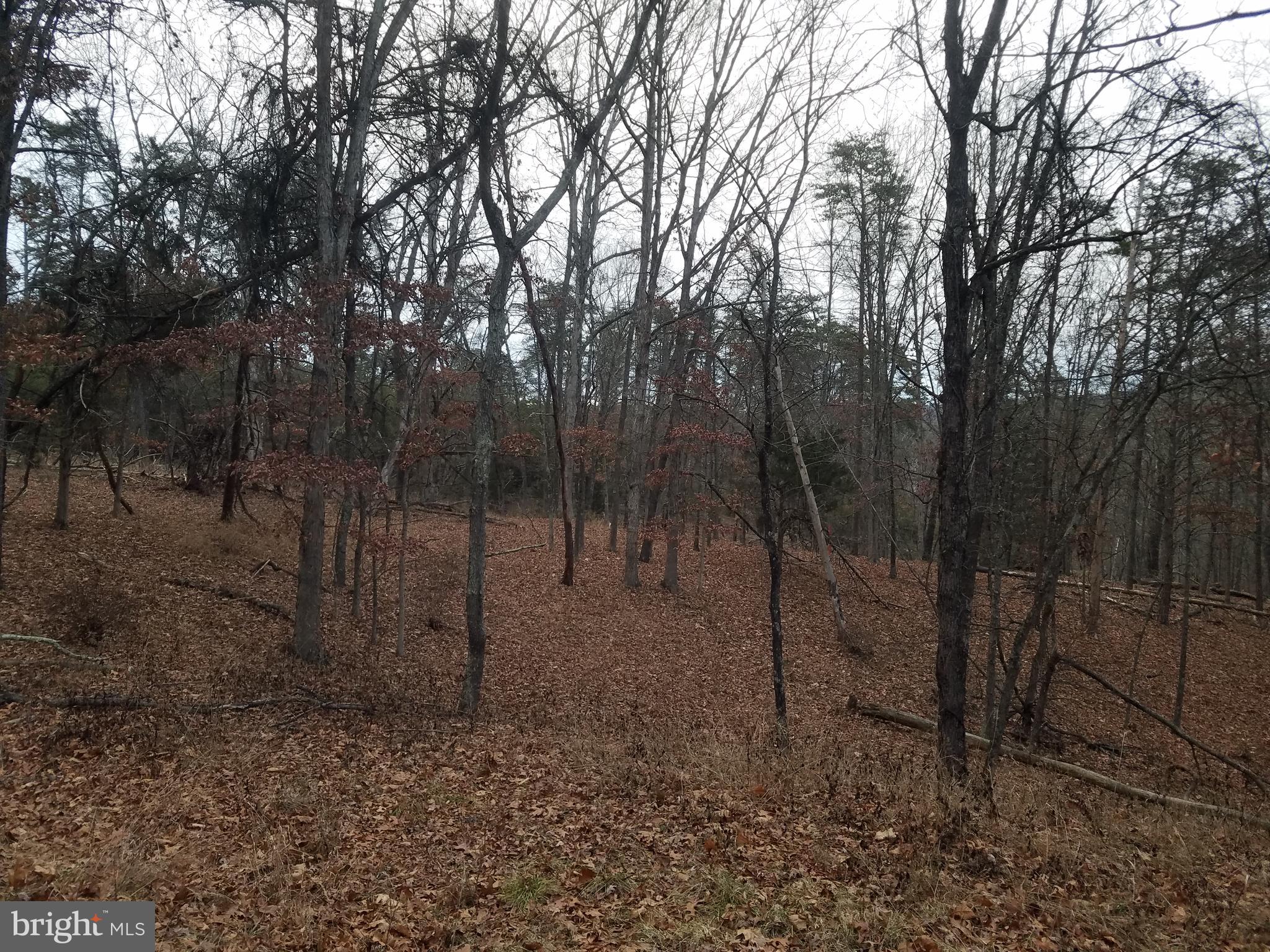 COON HOLLOW - Residential