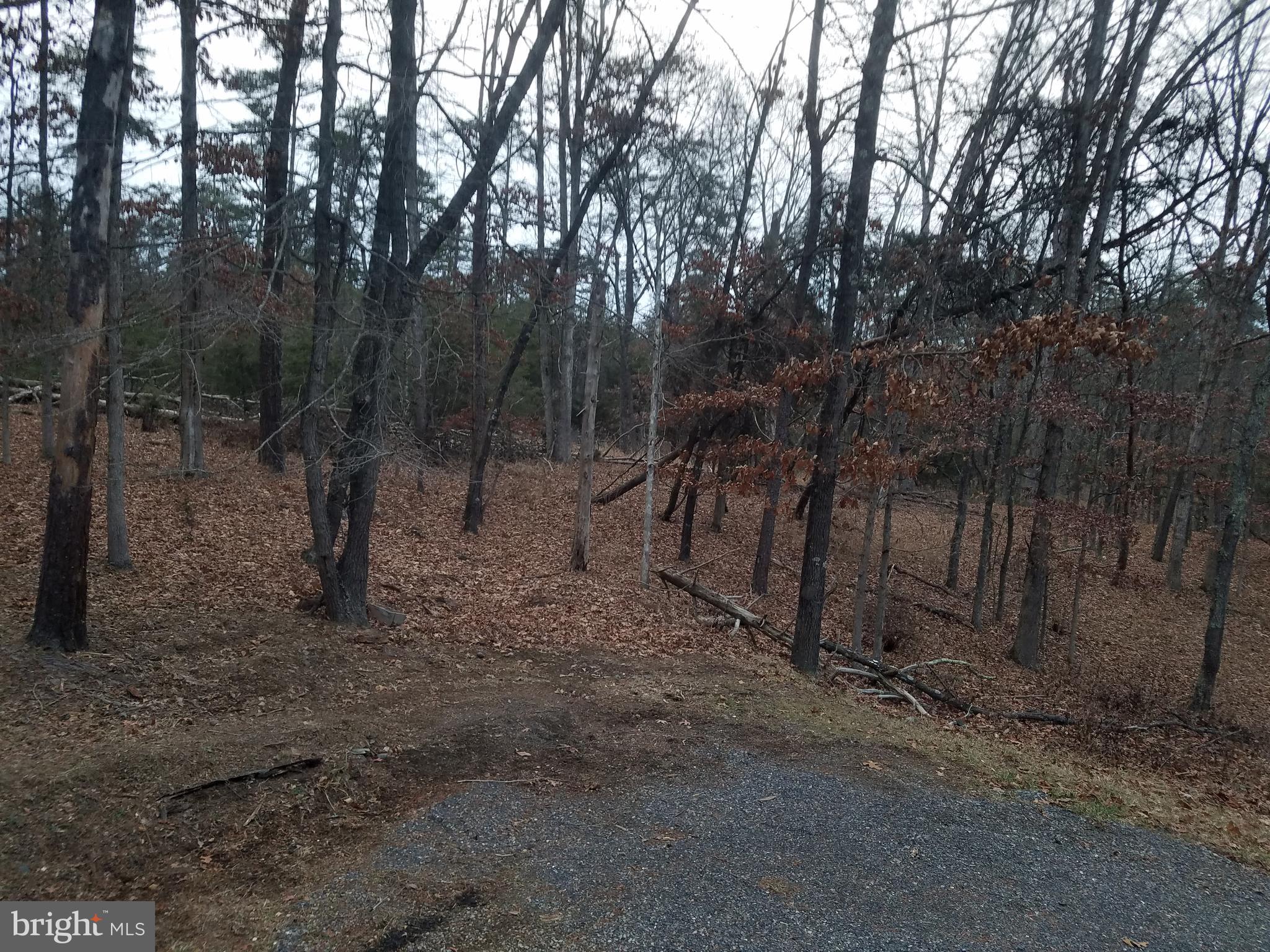 COON HOLLOW - Residential