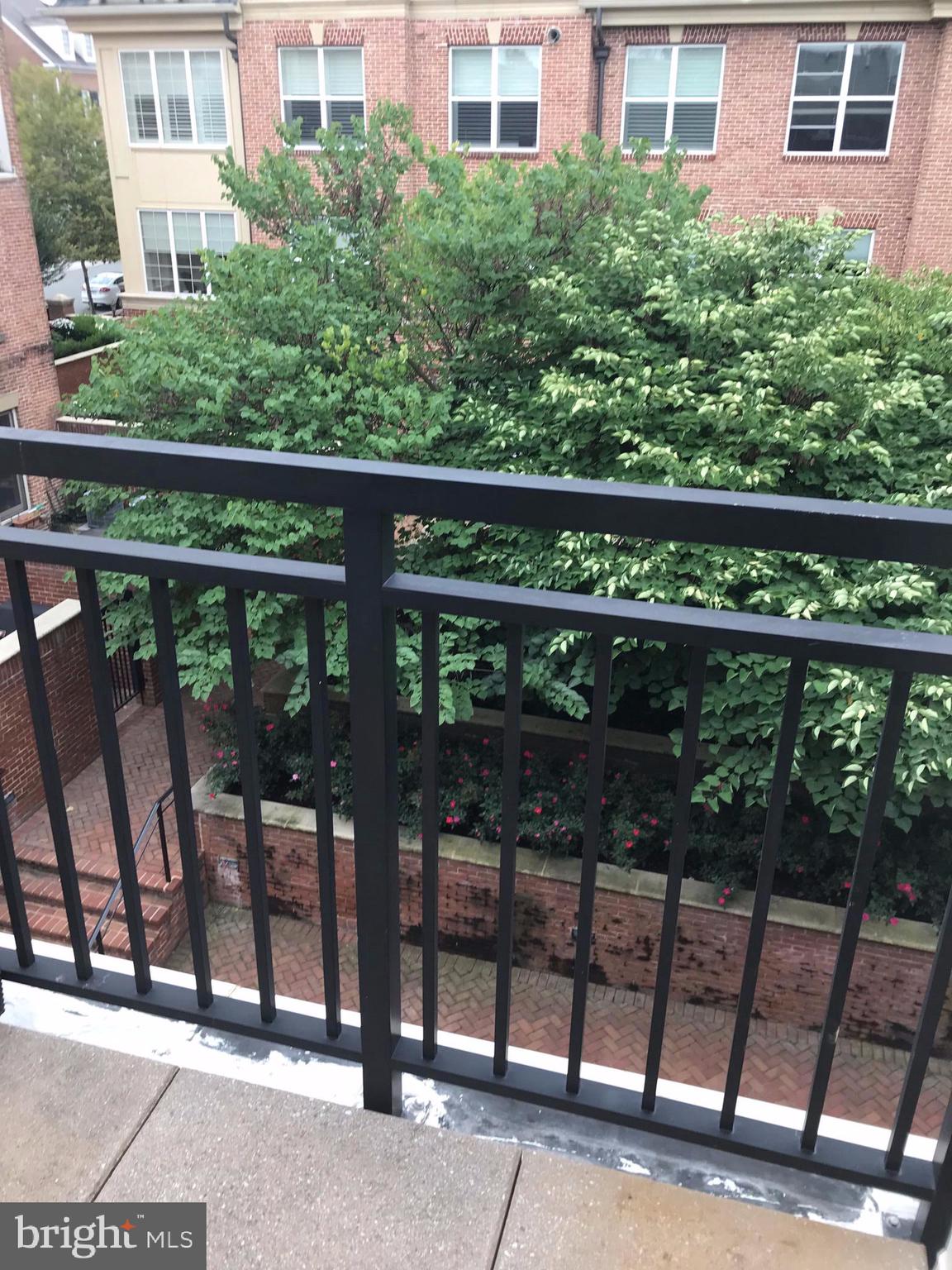 DUKE CONDOMINIUM - Residential Lease