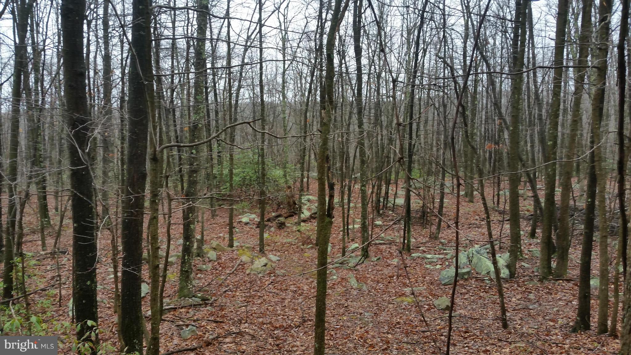 VALLEY HIGH TIMBER FARMS - Land