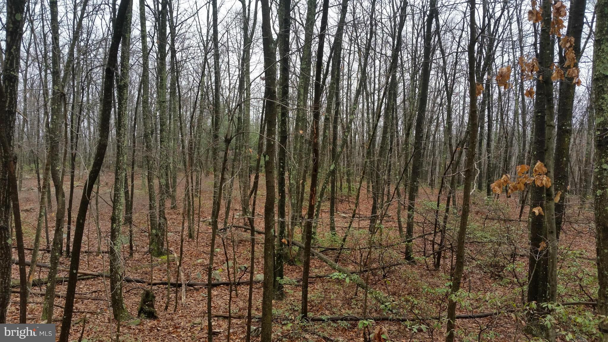 VALLEY HIGH TIMBER FARMS - Land