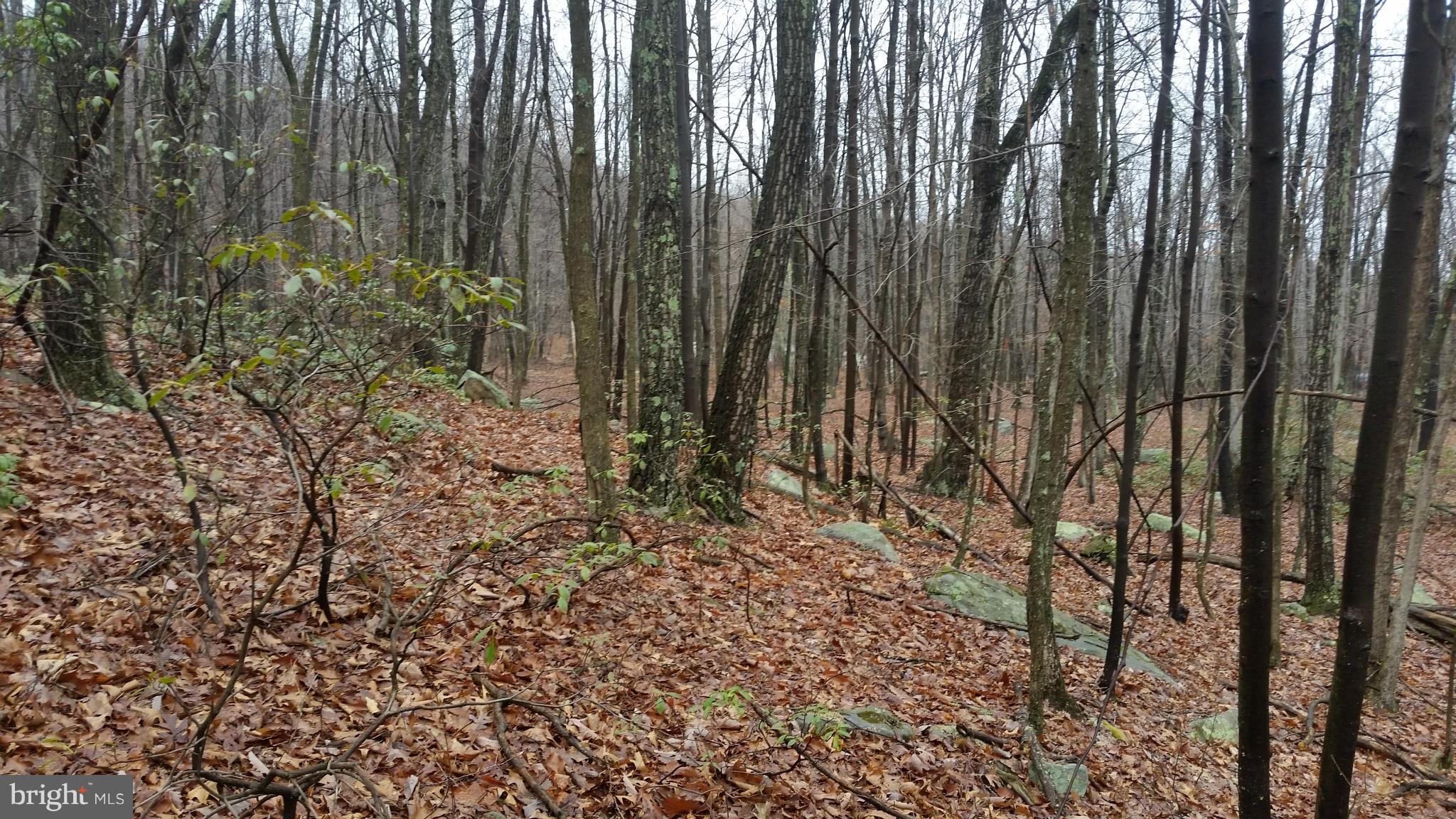 VALLEY HIGH TIMBER FARMS - Land