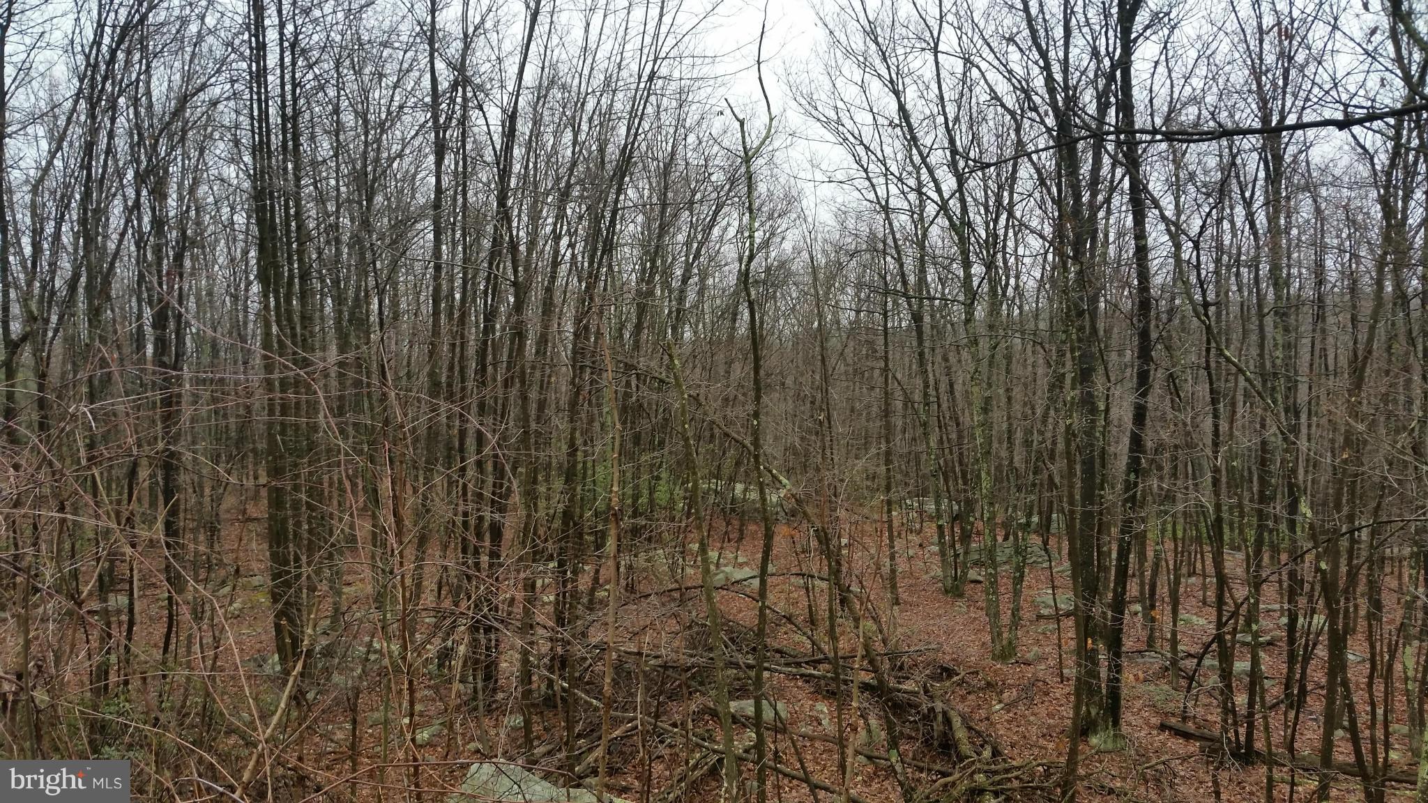 VALLEY HIGH TIMBER FARMS - Land