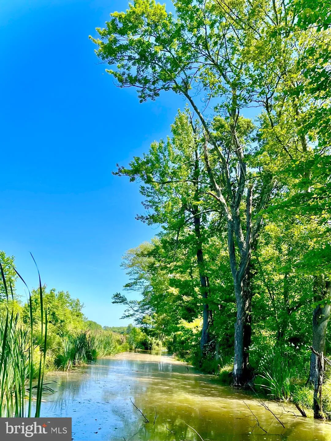 Chesterfield, New Jersey 08515, United States, ,Residential,Active,225445