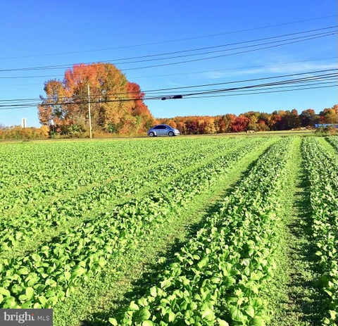 Vacant Land For Sale - 248 Bordentown Chesterfield Road<br/> CHESTERFIELD, NJ 08515