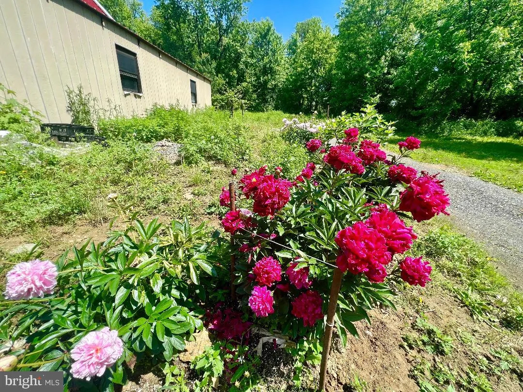 Chesterfield, New Jersey 08515, United States, ,Residential,Active,225445