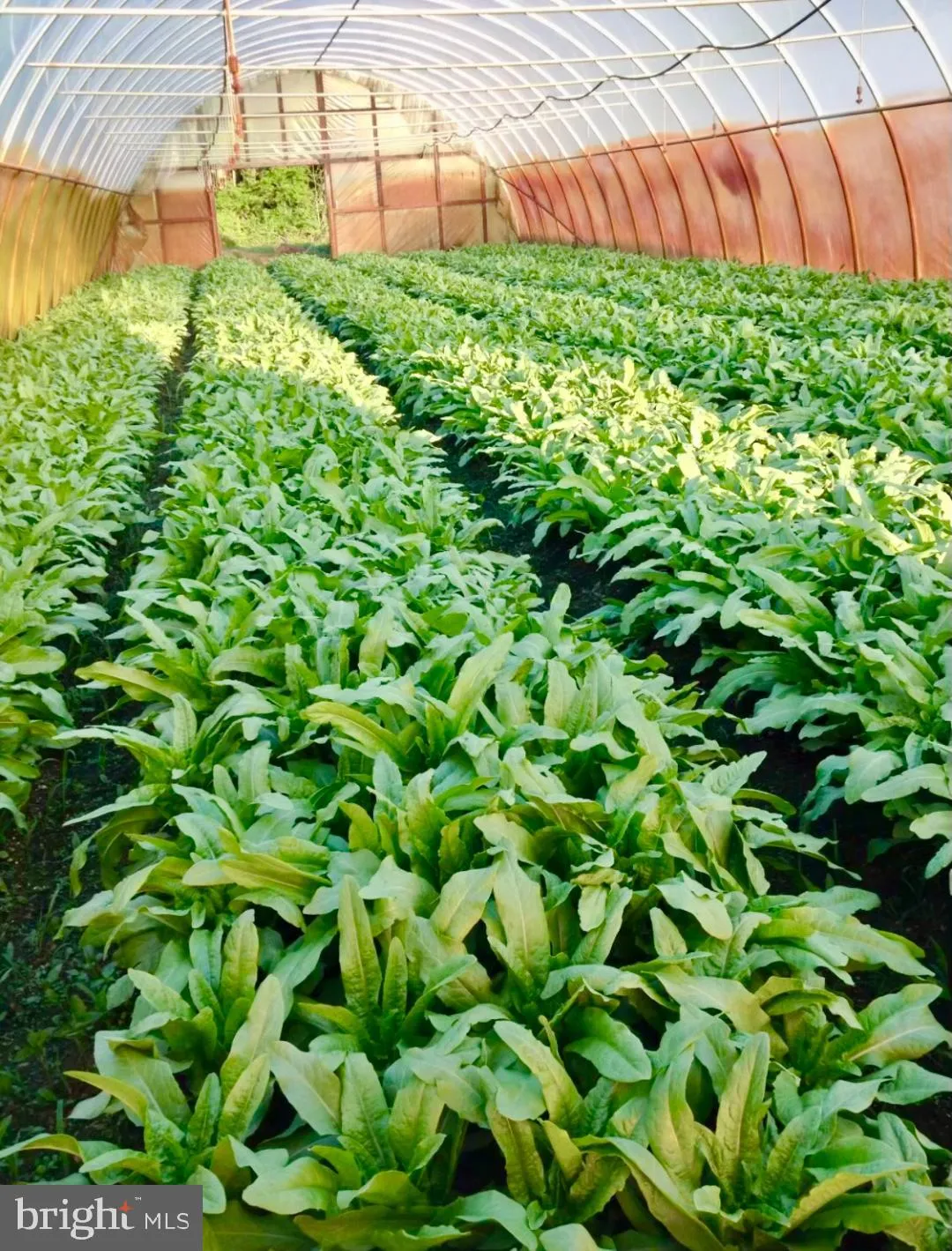 Chesterfield, New Jersey 08515, United States, ,Residential,Active,225445