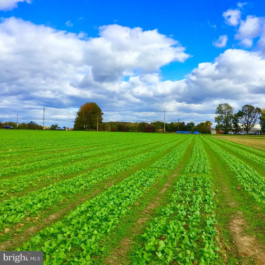 Chesterfield, New Jersey 08515, United States, ,Residential,Active,225445