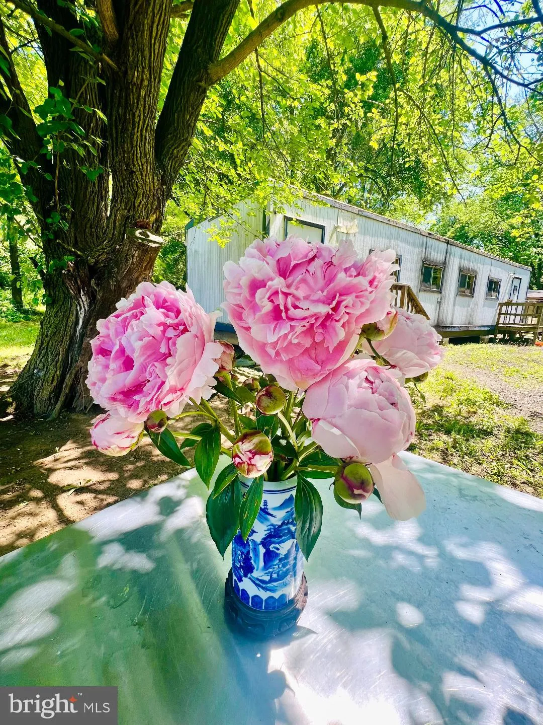 Chesterfield, New Jersey 08515, United States, ,Residential,Active,225445