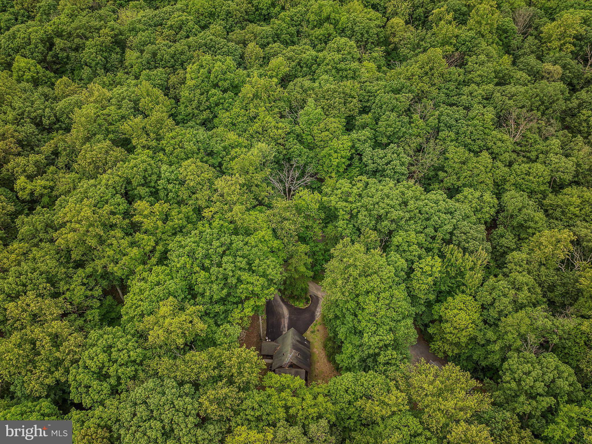 COOLFONT MOUNTAINSIDE - Residential
