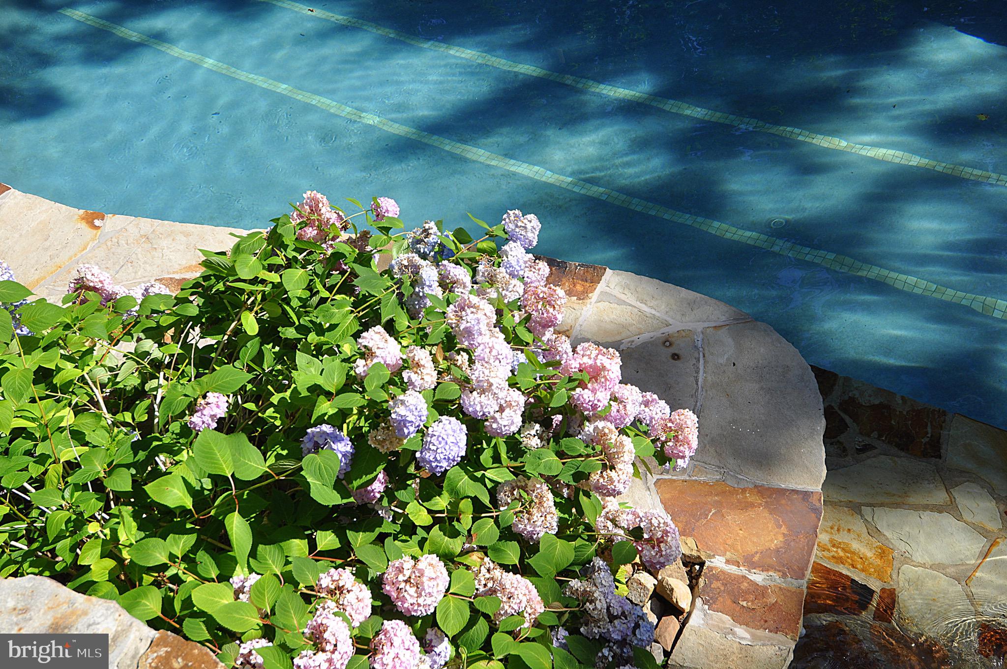 COOLFONT MOUNTAINSIDE - Residential