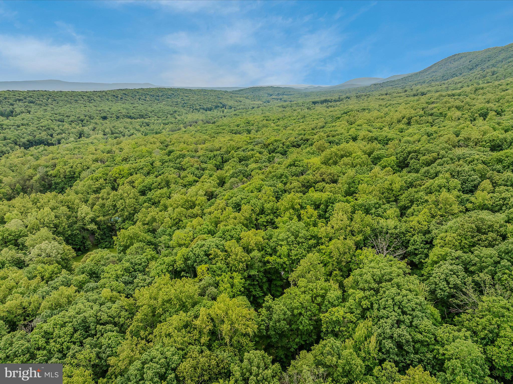 COOLFONT MOUNTAINSIDE - Residential