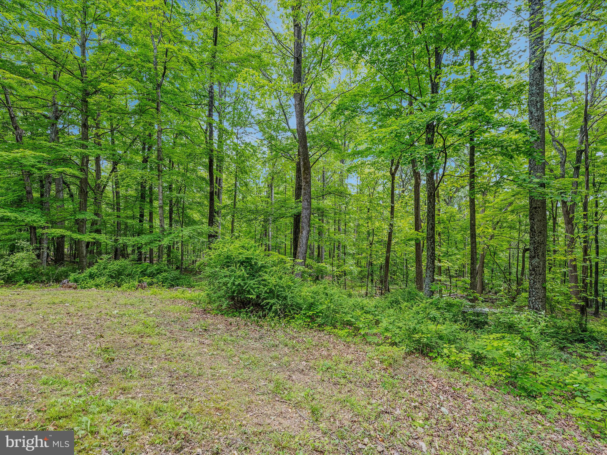 COOLFONT MOUNTAINSIDE - Residential