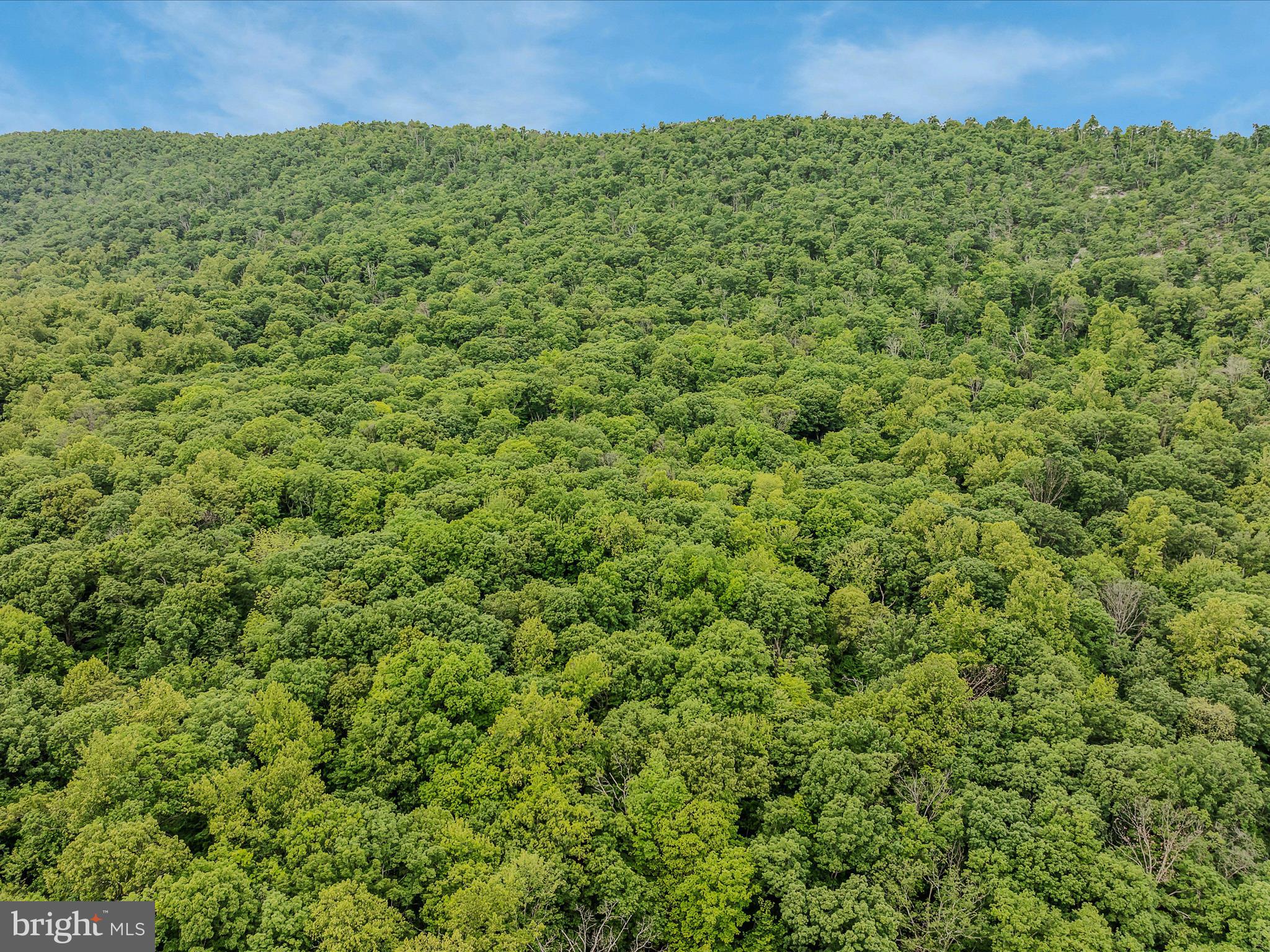 COOLFONT MOUNTAINSIDE - Residential