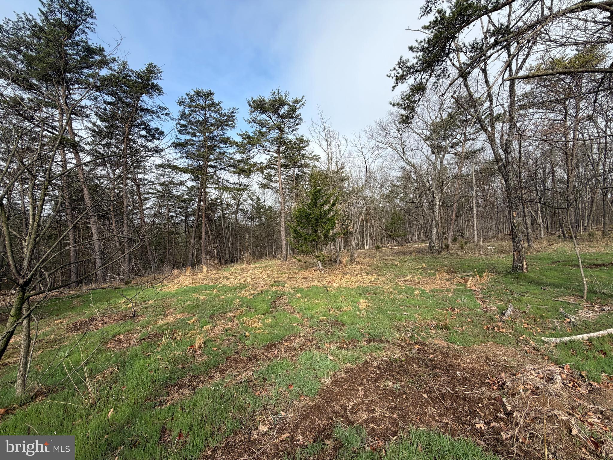 RACHEL CRIDER - Residential