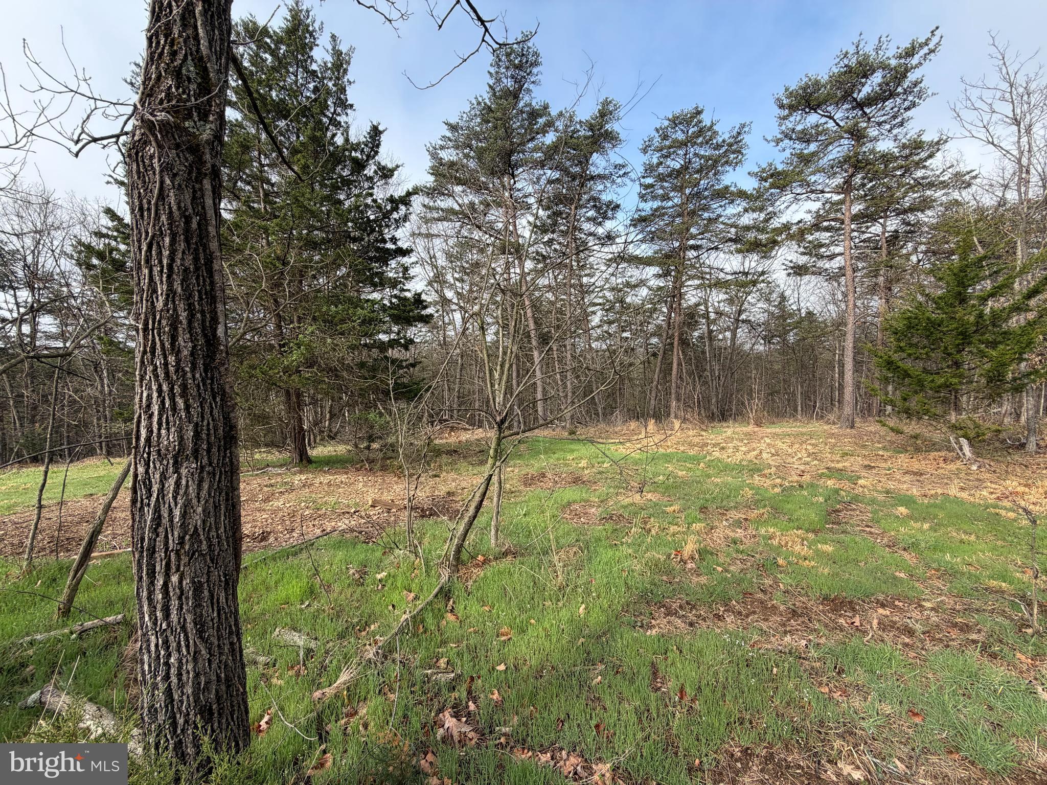 RACHEL CRIDER - Residential