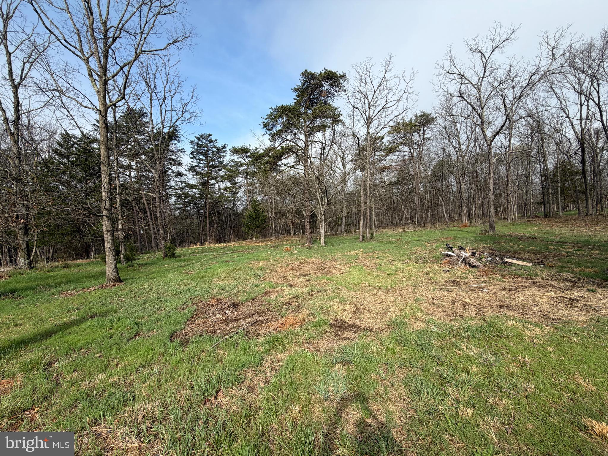 RACHEL CRIDER - Residential