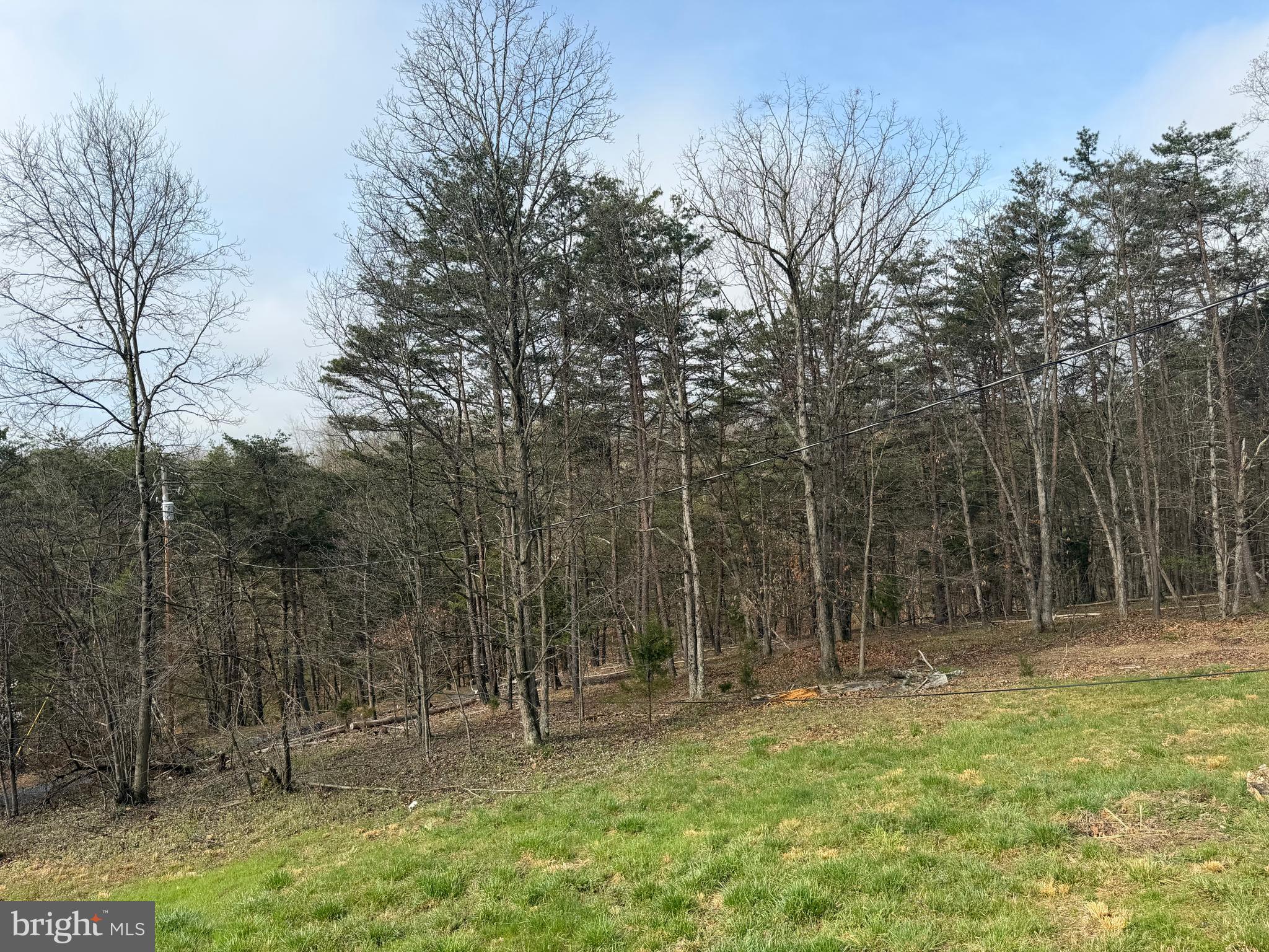 RACHEL CRIDER - Residential