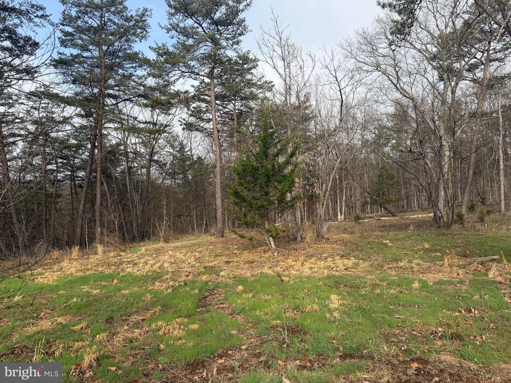 RACHEL CRIDER - Residential