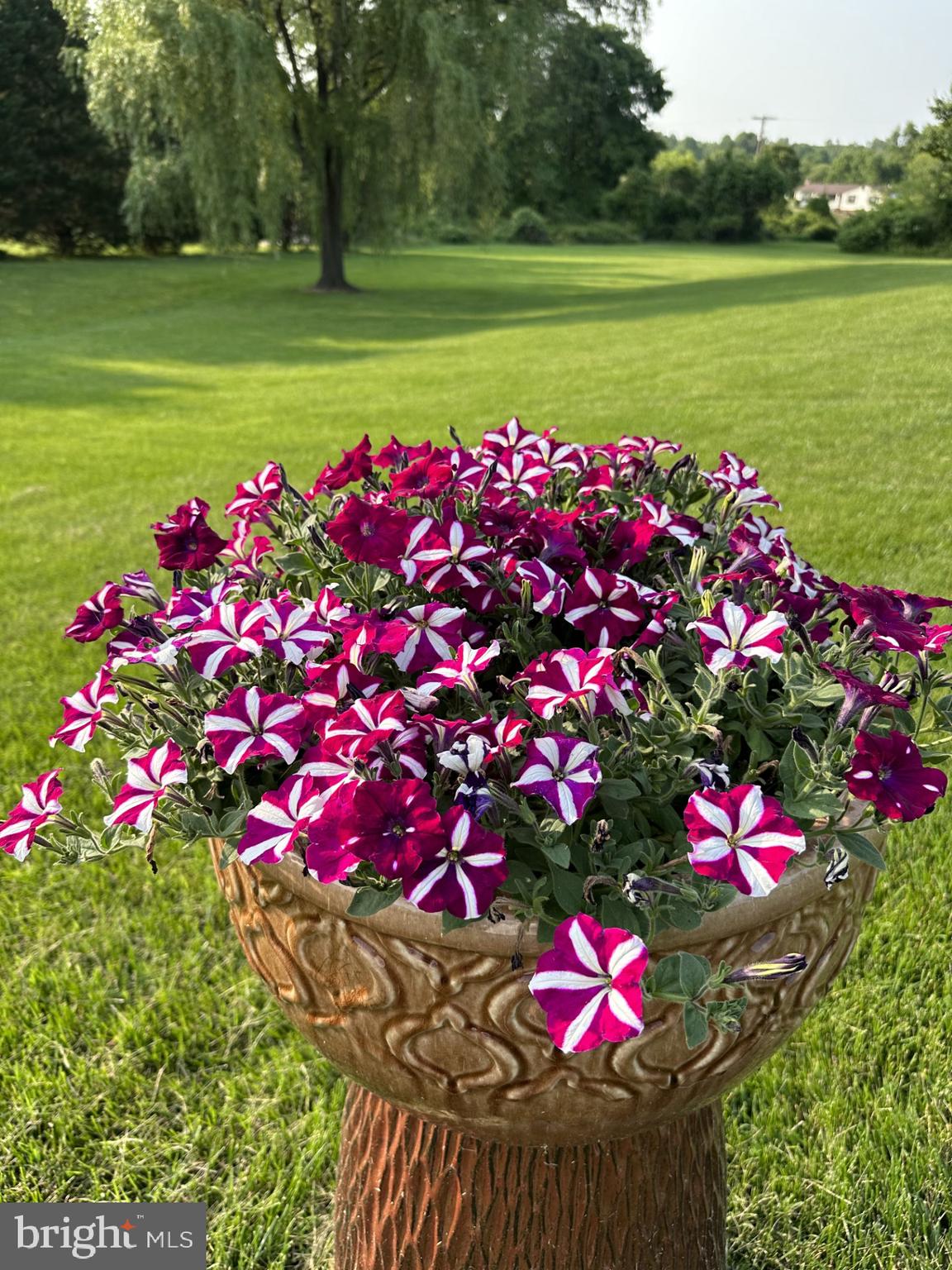 MABEL M PETTIE - Residential