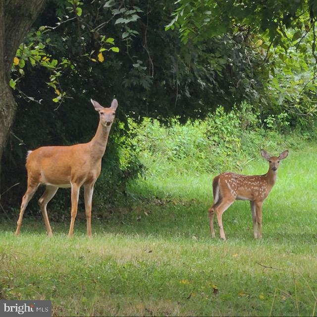 LOWER SWATARA TOWNSHIP - Residential
