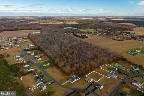 48.1 acres MORRIS MILL ROAD MILLSBORO DE 19966