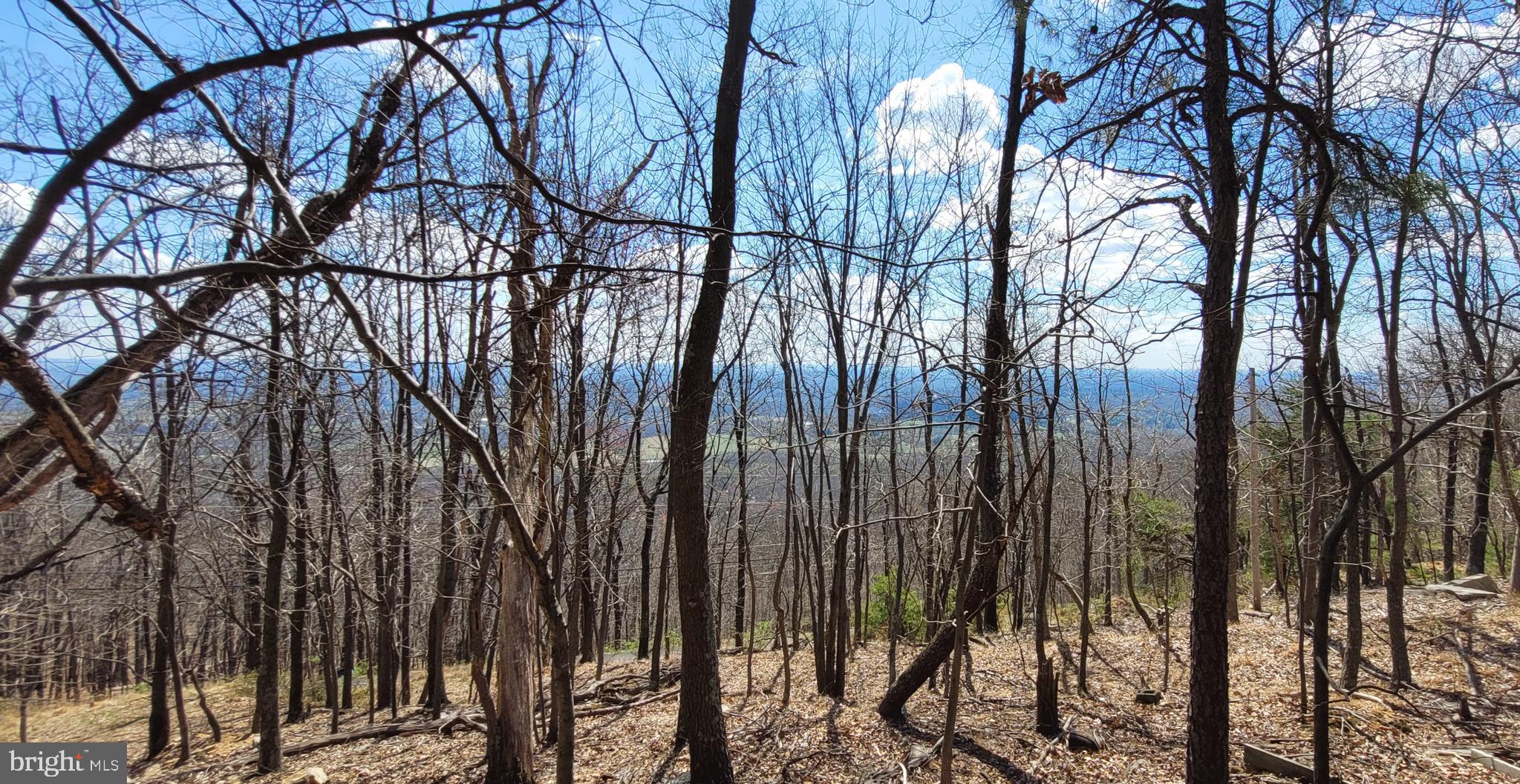 2408 & 2410 LOOKOUT ROAD