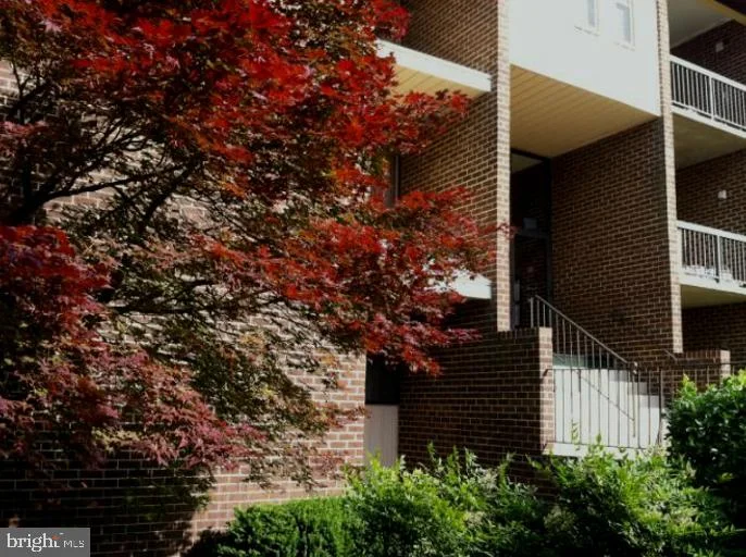 11242 Cherry Hill Road Road Unit 303