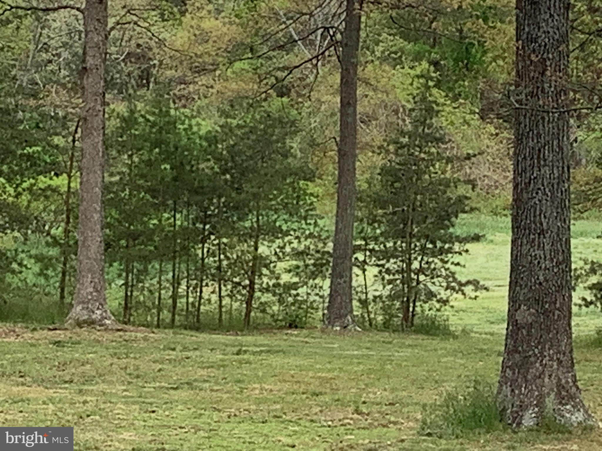 EARLEIGH HEIGHTS ROAD