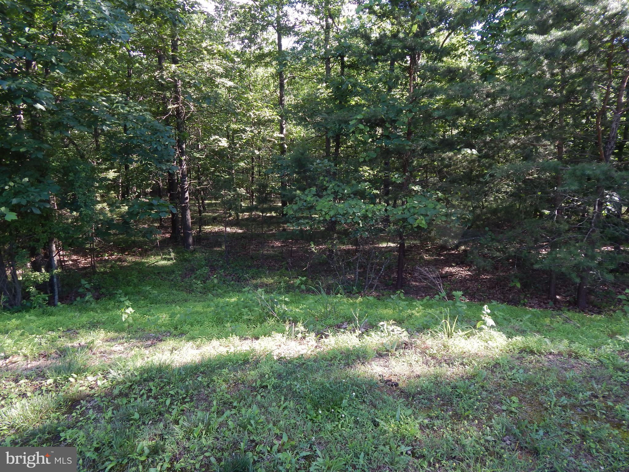 CACAPON SOUTH SECTION 5 - Land