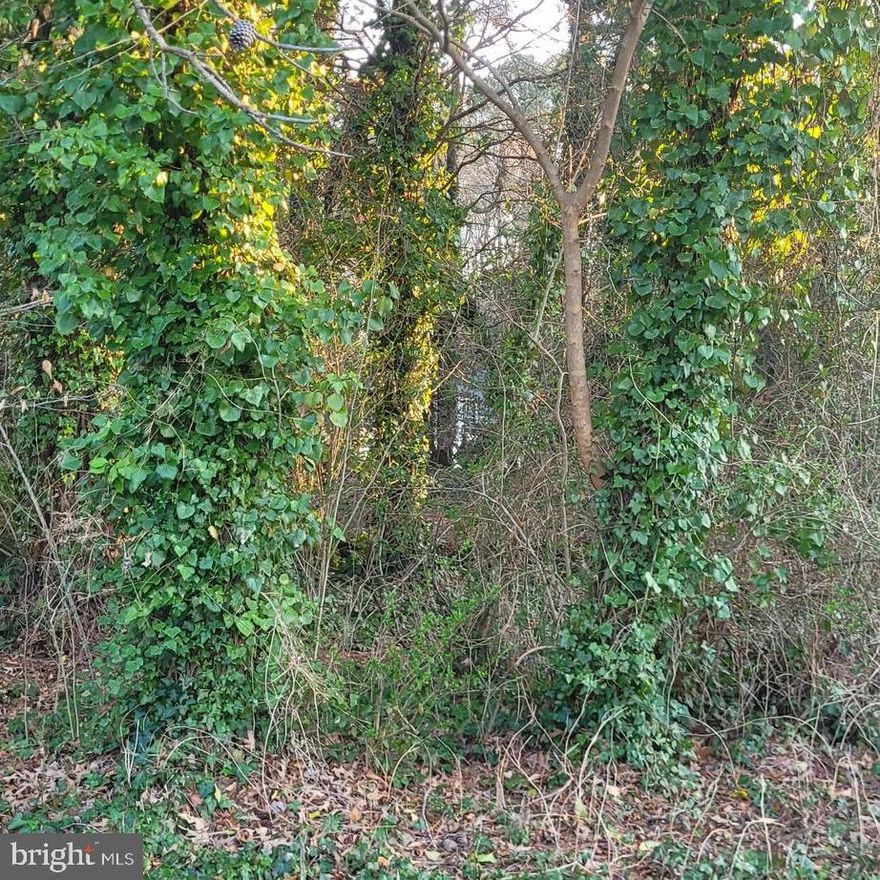 Vacant lot for sale in the beautiful Drum Point community, just moments from the water and the community beach. Build your dream home on this great property and enjoy all that this sought-after waterfront area has to offer. Whether you’re looking to build now or invest for the future, this lot offers a wonderful opportunity in a scenic coastal setting. Don’t miss your chance to own in Drum Point.  See listing at 12971 Mills Creek Drive.