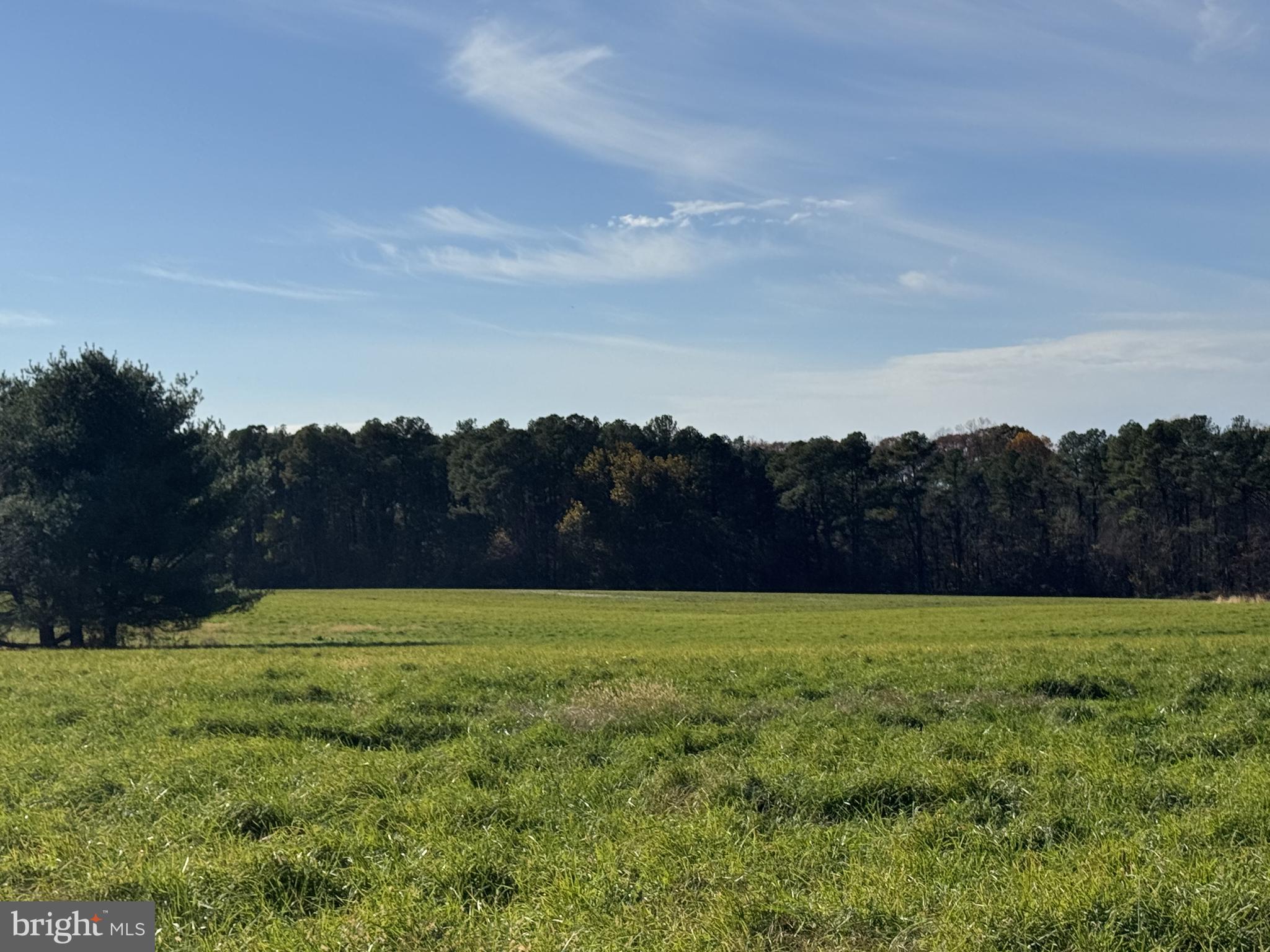 1191 OLD TELEGRAPH ROAD