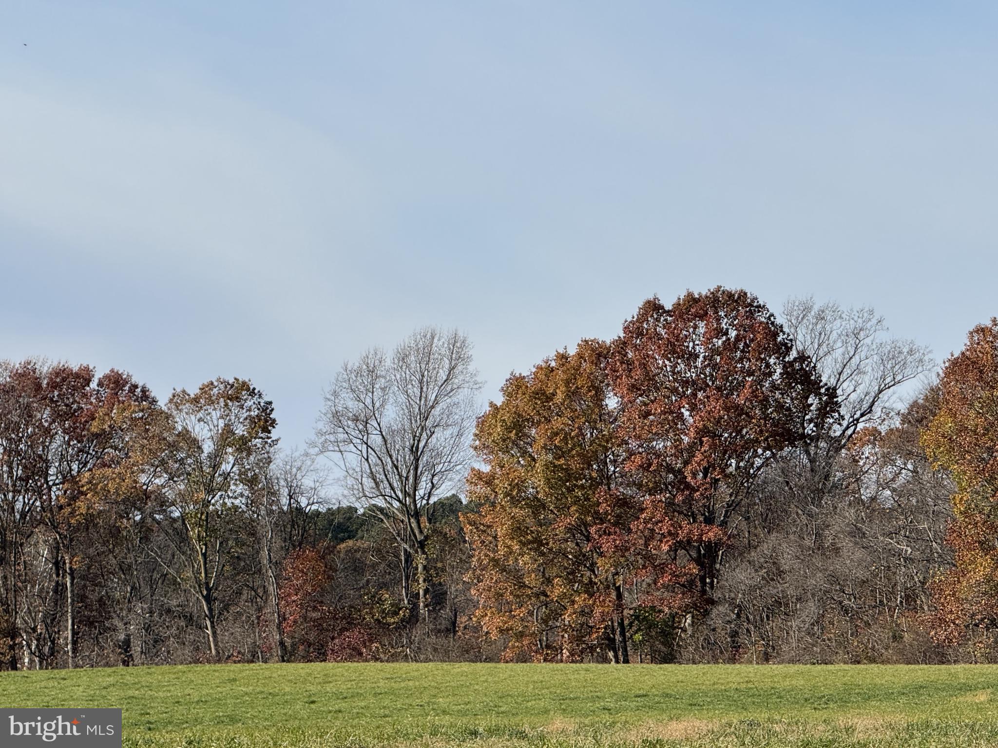 1191 OLD TELEGRAPH ROAD