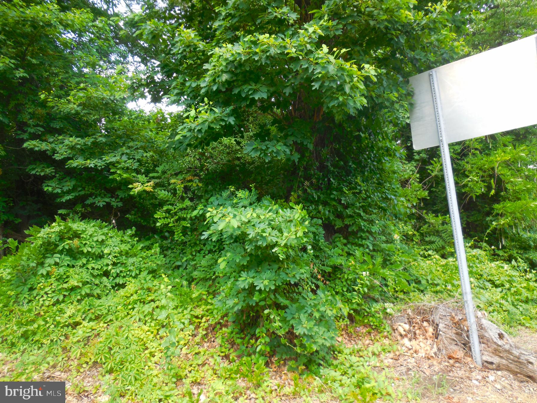 1879 DELSEA DRIVE