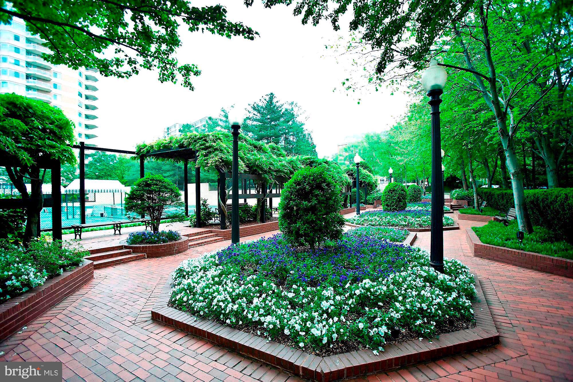 CHEVY CHASE - Residential