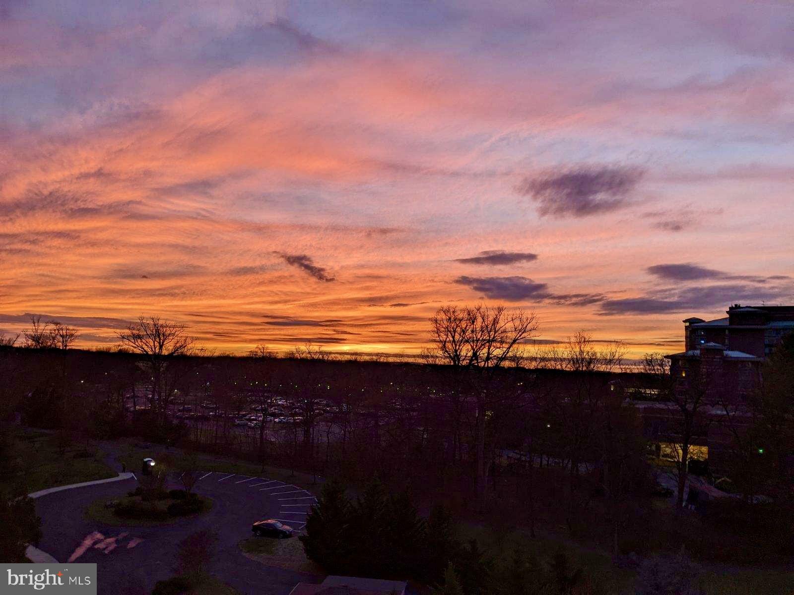 RIVERVIEW AT LANSDOWNE WOODS - Residential