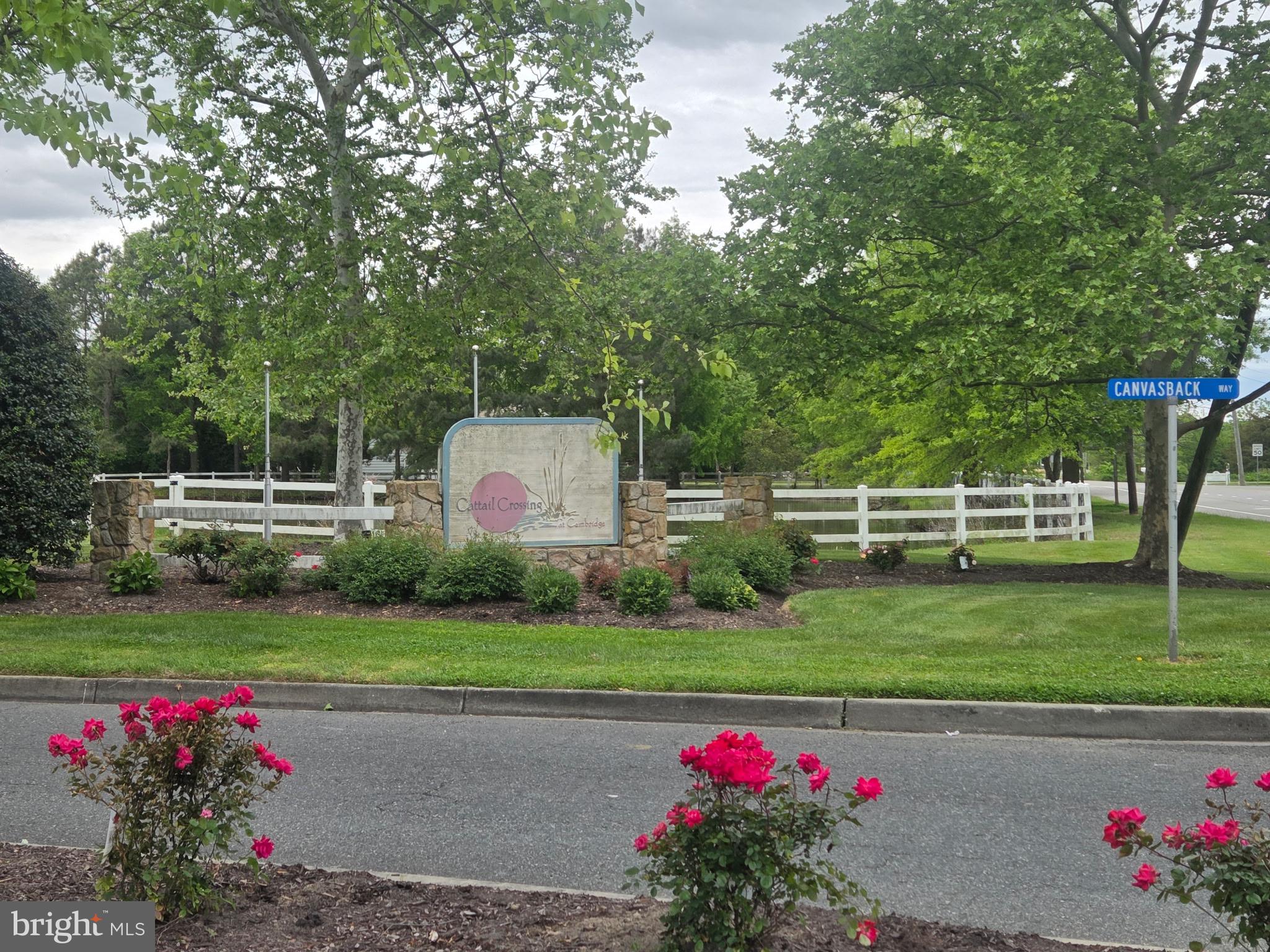 CATTAIL CROSSING - Land